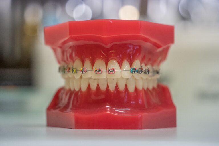 ortho